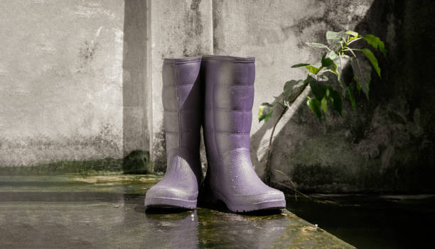 تصویر 4 از خرید و قیمت کفش ایمنی ضدآب PVC لاستیکی و فروش صادراتی